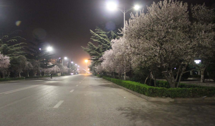 河南省灵宝市城区LED路灯改造